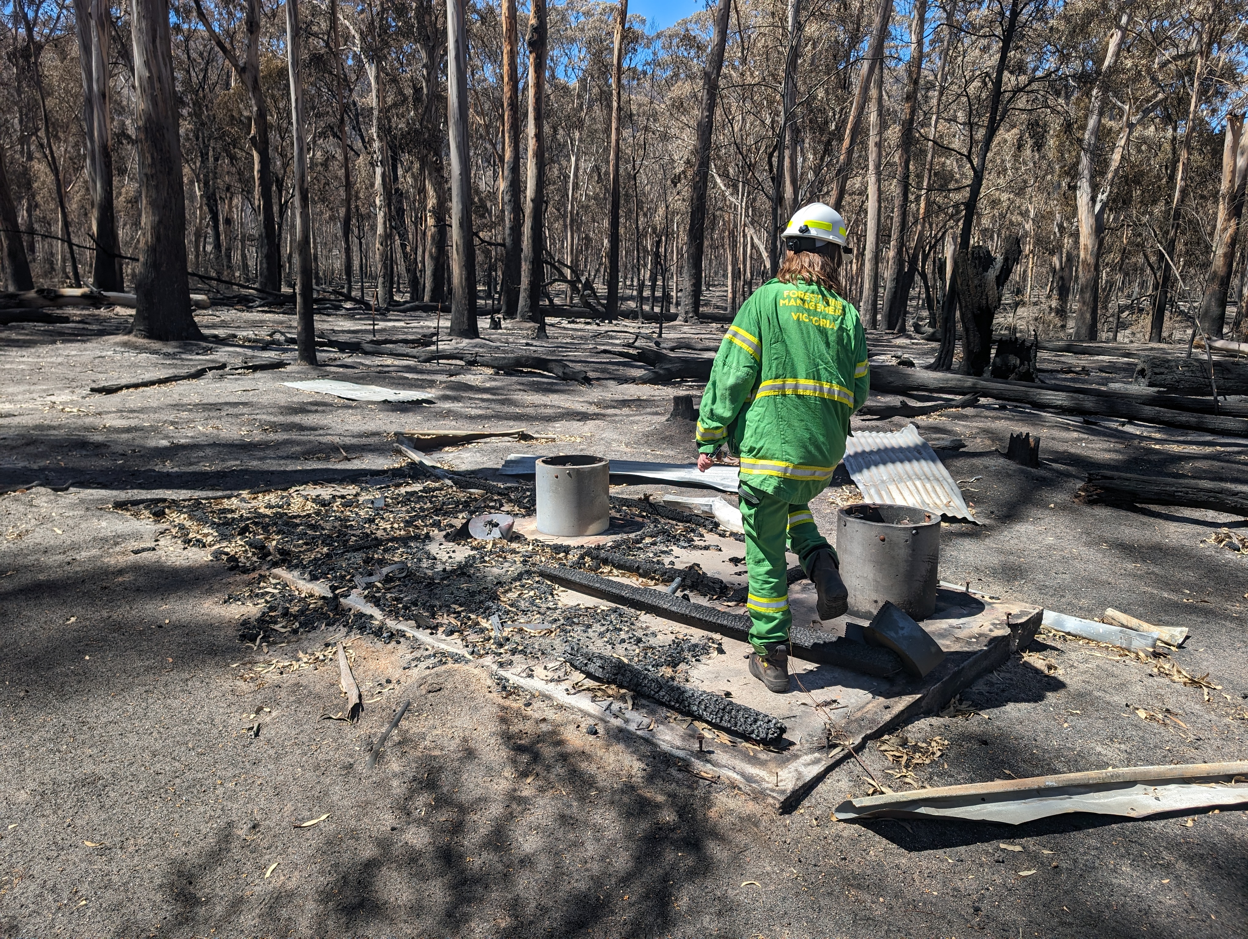 Photo of emergency services worker assessing damage from bushfire in forest  