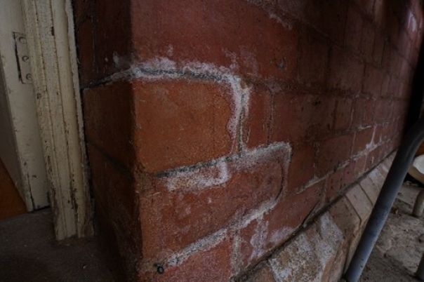Salt crystals emerge through mortar following flood inundation in a brick building 