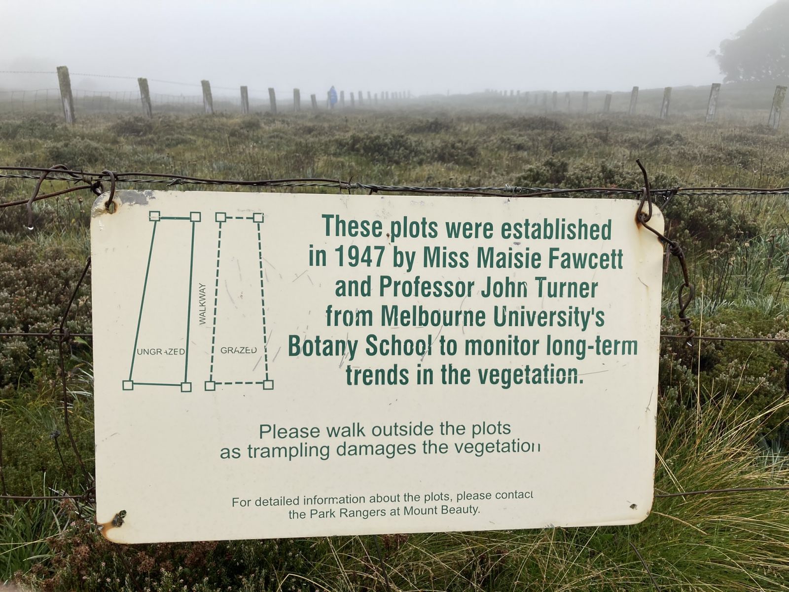 Image of a white sign with green writing, on a fence surrounding a field of native plants. The sign has information about Maisie's Plots.