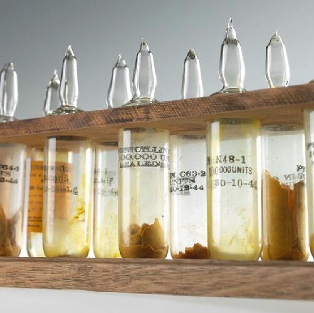 Bottles of penicillin can be seen lined up against one another.