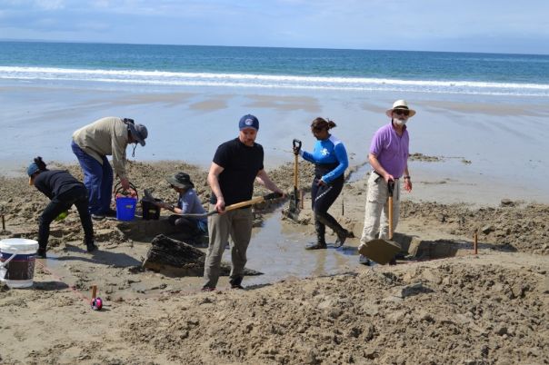 Heritage and university staff can be seen on a beach at the site of the Amazon wreck. Six people can be seen with shovels and buckets digging in the wet sand around the wreck. The ocean can be seen in the background. 