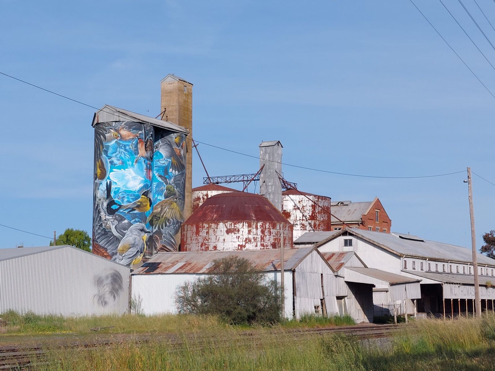 Image shows the outside of the art silos in Murtoa. The image showcases on of the silos from a distance. A blue mural can been scene painted on the silo. 
